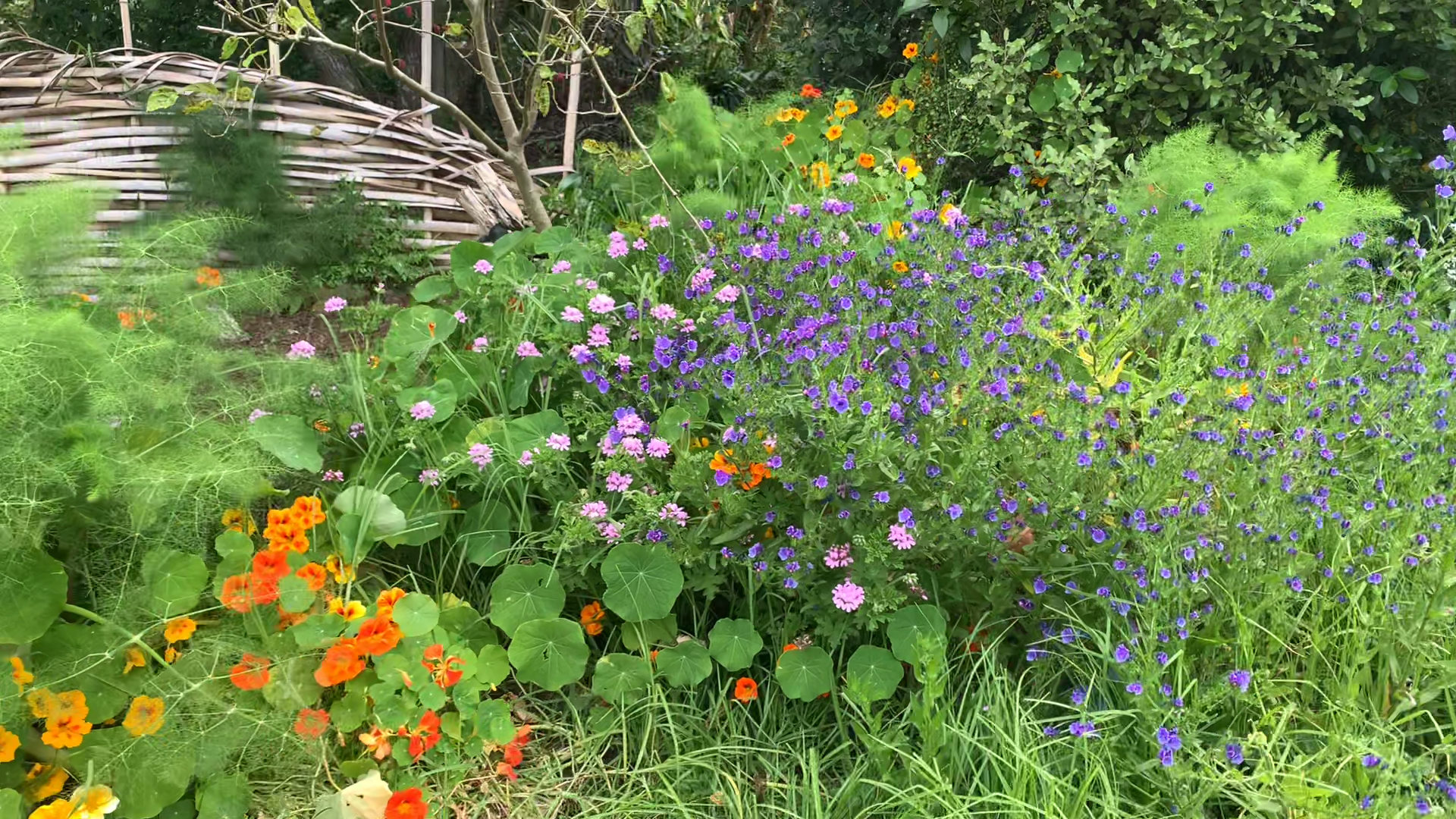 Spring Flowers Workshop