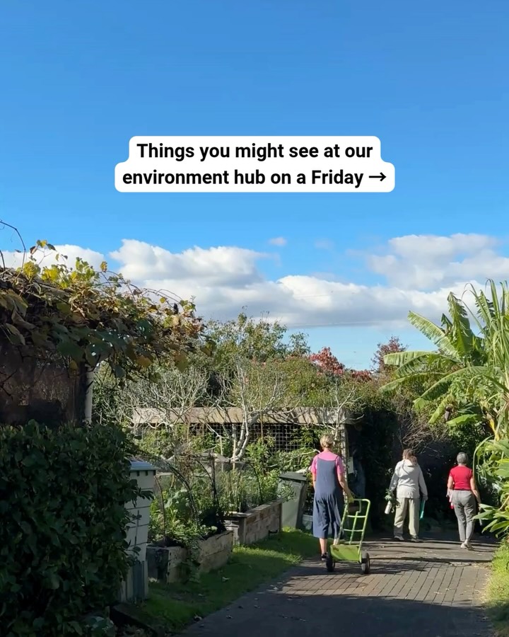 Just little ways we’re working on the future we want to see. New volunteers always welcome. 

#auckland #environment #naturelover